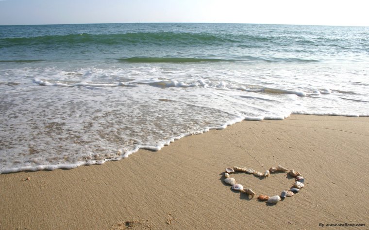 love-beach-1.jpg
